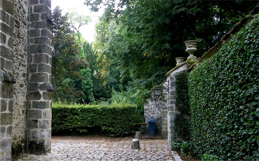 IMGP3524