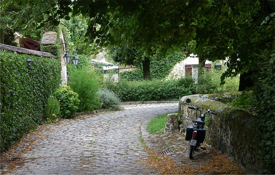 IMGP3528