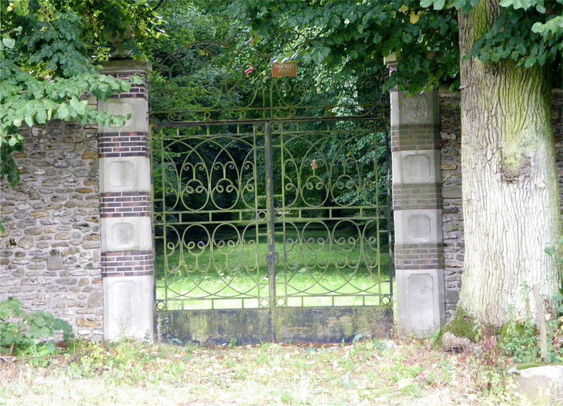 IMGP3643
