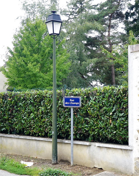 IMGP3648