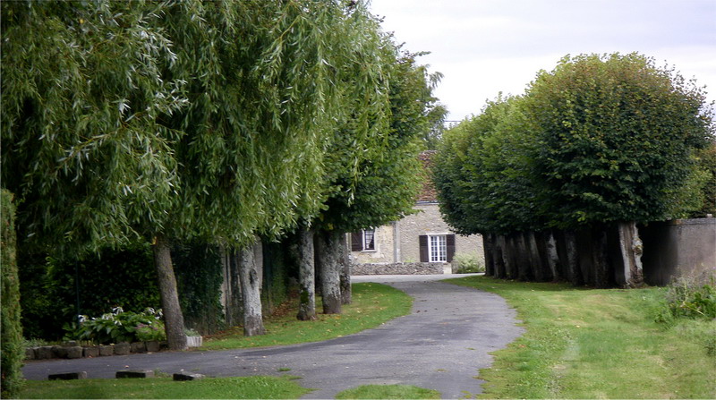 IMGP3652