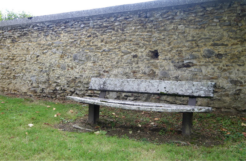 IMGP3655