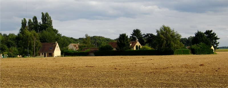 IMGP5617